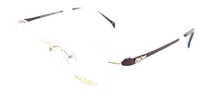 Paul Vosheront 131 c1 Титан оправа очковая